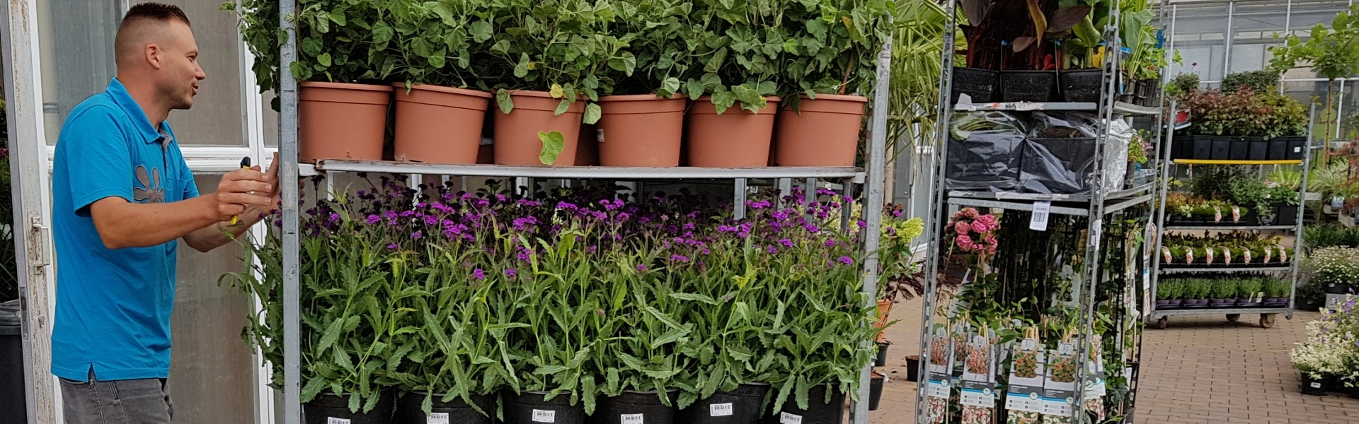 almelo-werksituatie5