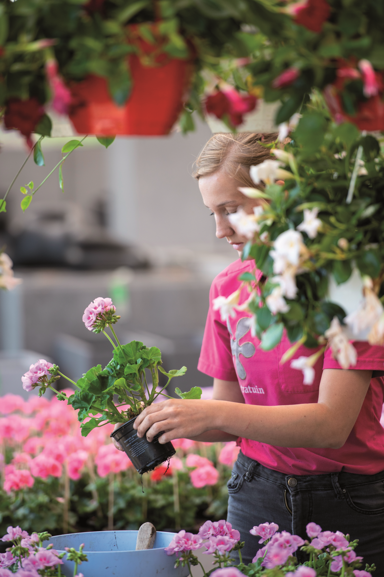 Werken bij Intratuin - Werken in de verkoop