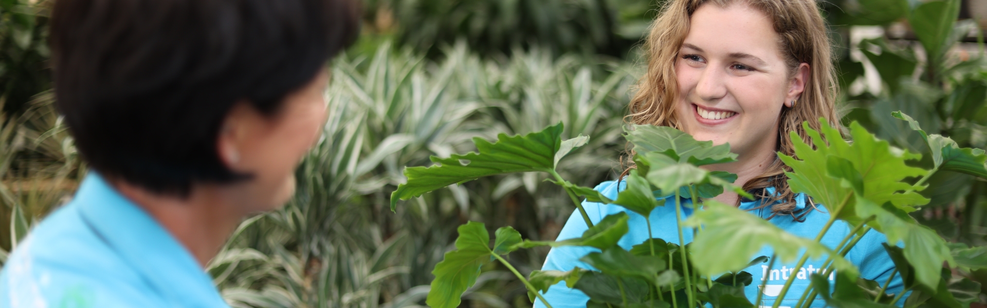 werken-bij-intratuin-bijbaan-stage-3